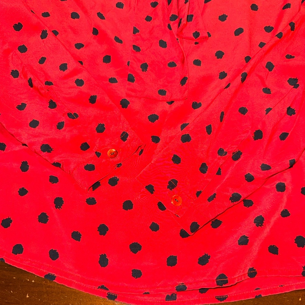 LAN JAENICKE RED POLKA DOT BLOUSE WITH BOW❤️ - Picture 9 of 11